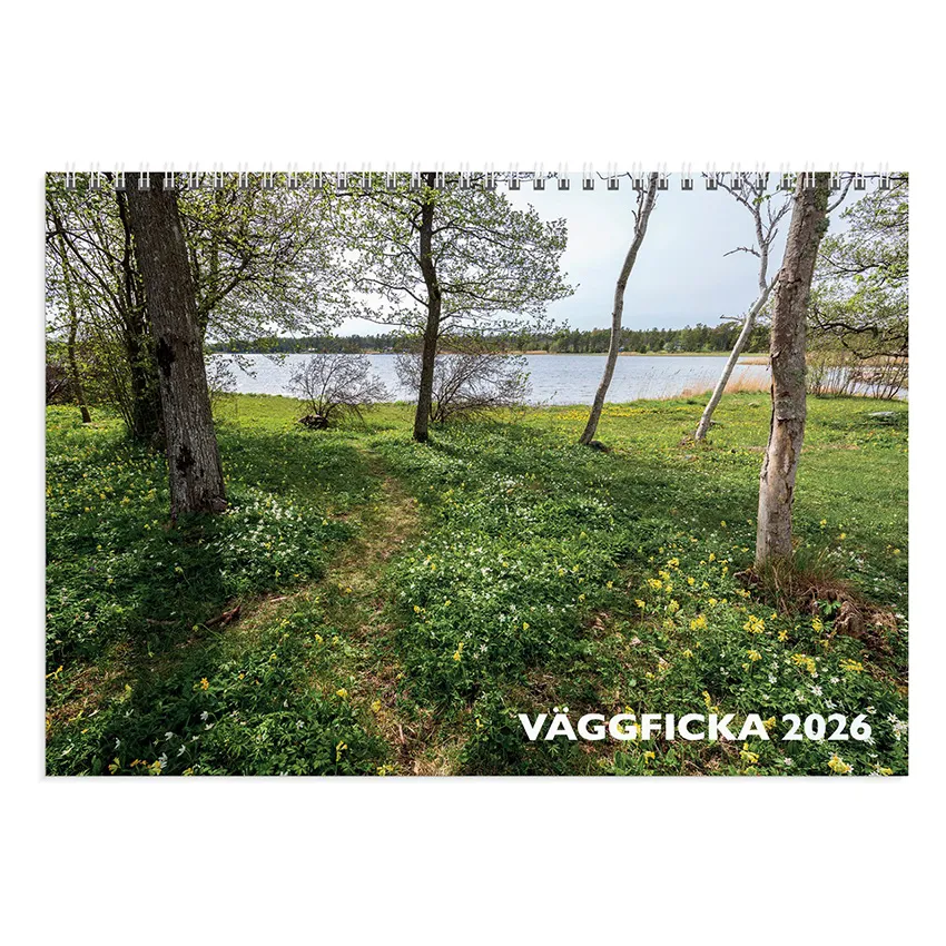 Väggkalender  ficka - 2026